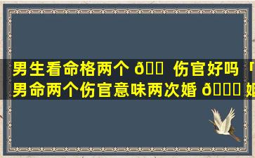 男生看命格两个 🐠 伤官好吗「男命两个伤官意味两次婚 🕊 姻吗」